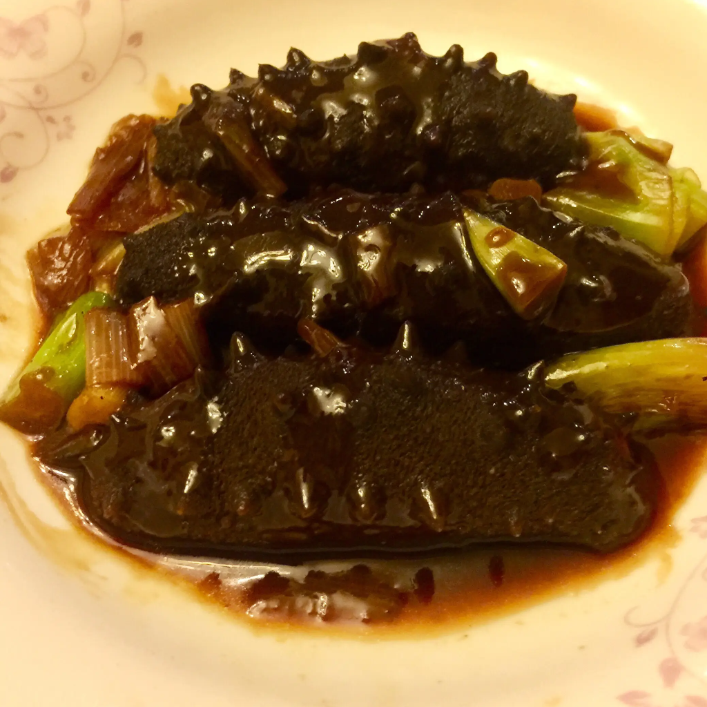 Braised Sea Cucumber with Scallions