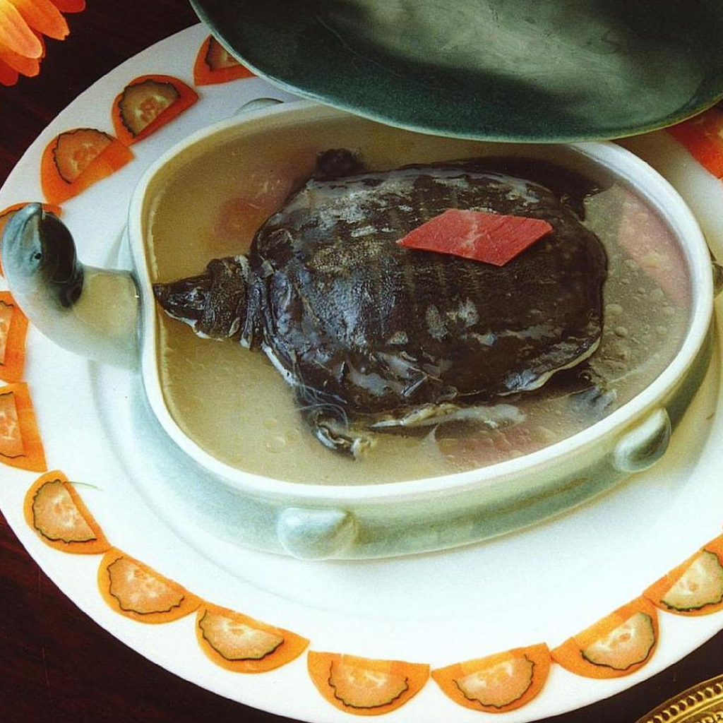 Turtle Stew in Broth